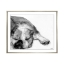 Valerie-Davide-Dogs-VI-Silver-Frame-Front1