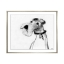 Valerie-Davide-Dogs-VIII-Silver-Frame-Front1