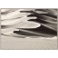High-Desert-Dune-Large-Front1