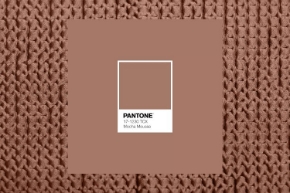 Picture for category Mocha Mousse – Color of the Year