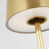 Nevis-Short-Accent-Lamp-Antique-Brass-Detail1
