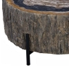 Chaka-Petrified-Cocktail-Table-Detail1