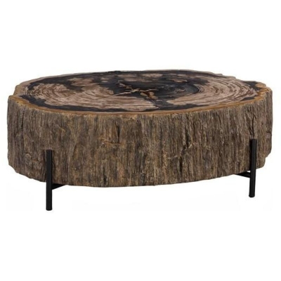 Chaka-Petrified-Cocktail-Table-Front1
