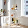 Diego-Acrylic-Bar-Cart-Roomshot1