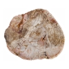 Petrified-Wood-Round-Cocktail-Table-Top1