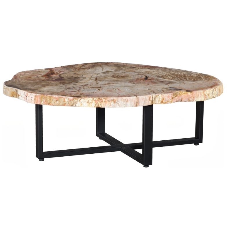 Petrified-Wood-Round-Cocktail-Table-34