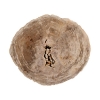 Petrified-Wood-Round-Cocktail-Top1